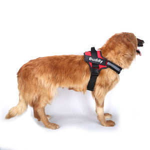 Pet Safe Gentle Dog Harness