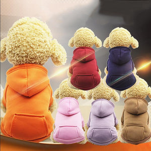 Colourful Pet Dog Hoodie