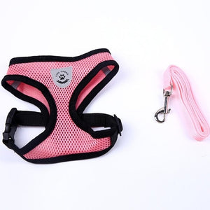 Adjustable All Season Pet Dog Leads