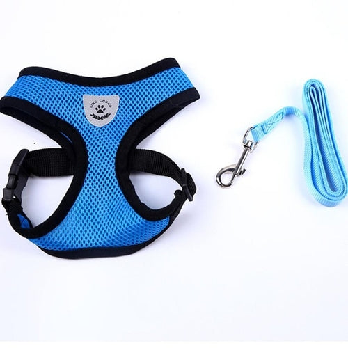Adjustable All Season Pet Dog Leads