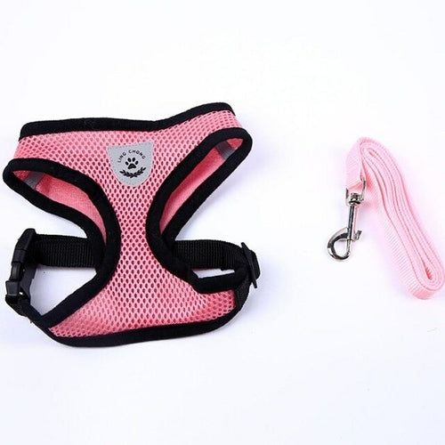 Adjustable All Season Pet Dog Leads