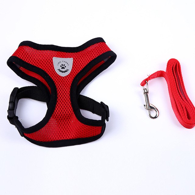 Adjustable All Season Pet Dog Leads