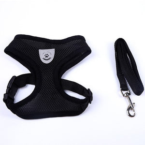 Adjustable All Season Pet Dog Leads