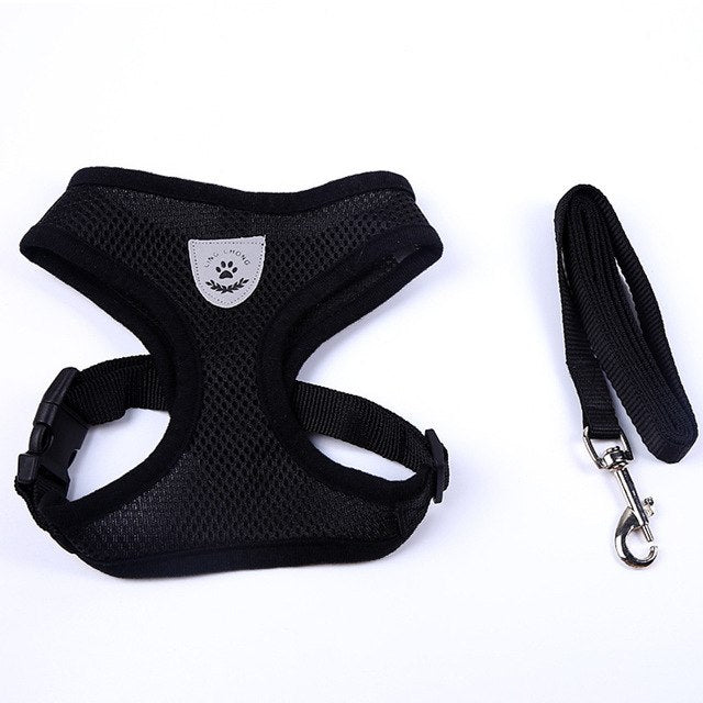 Adjustable All Season Pet Dog Leads