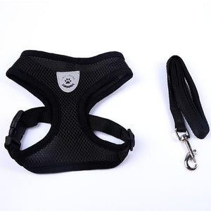 Adjustable All Season Pet Dog Leads