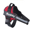 Pet Safe Gentle Dog Harness