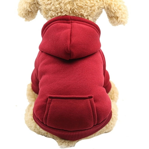 Colourful Pet Dog Hoodie