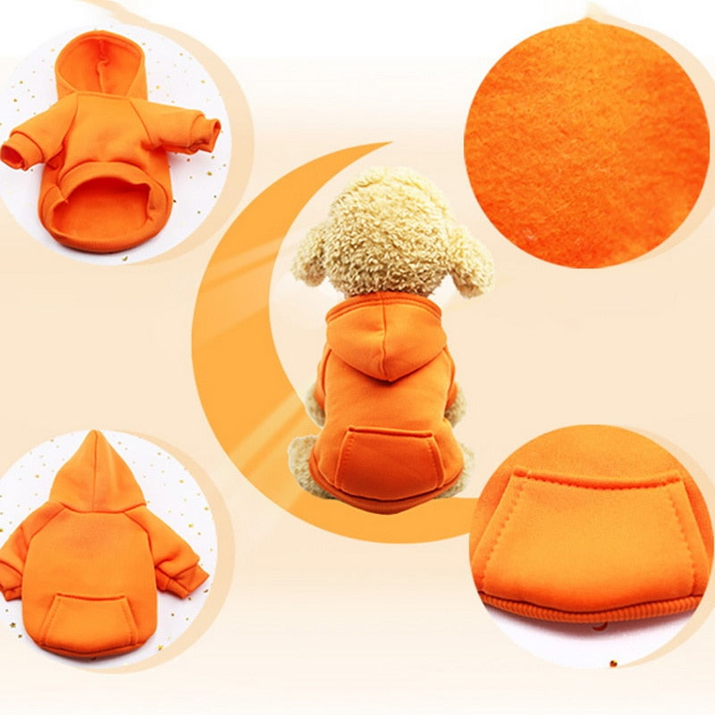 Colourful Pet Dog Hoodie