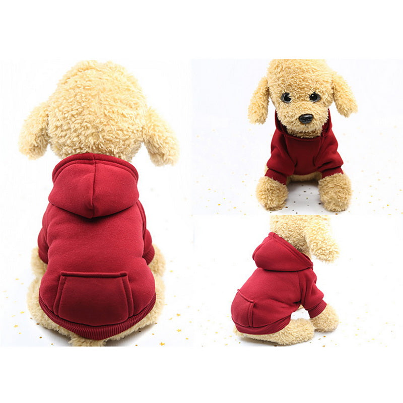 Colourful Pet Dog Hoodie